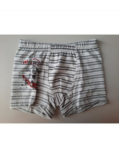 F.BOKSARICE - robotek siv